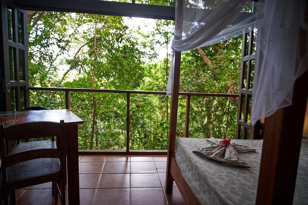 Luz En El Cielo Eco-B&B/Hostel Montezuma Exteriér fotografie