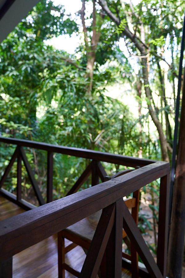 Luz En El Cielo Eco-B&B/Hostel Montezuma Exteriér fotografie